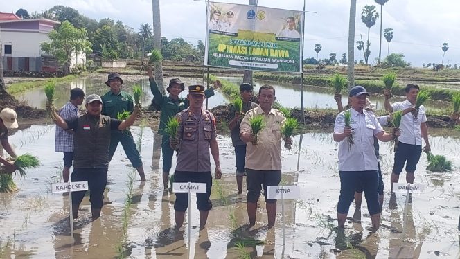 
 Kapolsek Awangpone Hadiri Penanaman Padi Optimasi Lahan Rawa di Kelurahan Macope