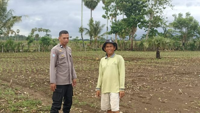 
 Polisi Penggerak Polsek Awangpone Dampingi Penanaman Jagung di Desa Mallari