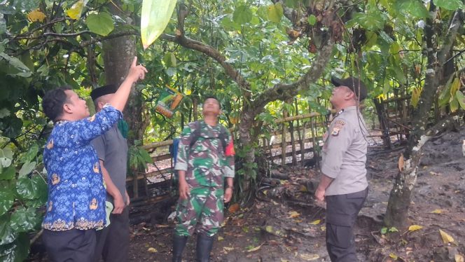 
 Penemuan Mayat Gegerkan Warga Desa Tallangkere, Anggota Polsek Tellu Limpoe Gerak Cepat Amankan TKP