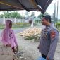 sambang