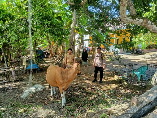 
 Bhabinkamtibmas Hadir Berikan Solusi, Persoalan Ternak Merusak Lahan Berakhir Damai