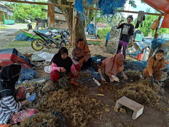 
 Polri Hadir untuk Masyarakat, Aiptu Muhammad Aras Patarai Sambangi Pelaku Budidaya Rumput Laut