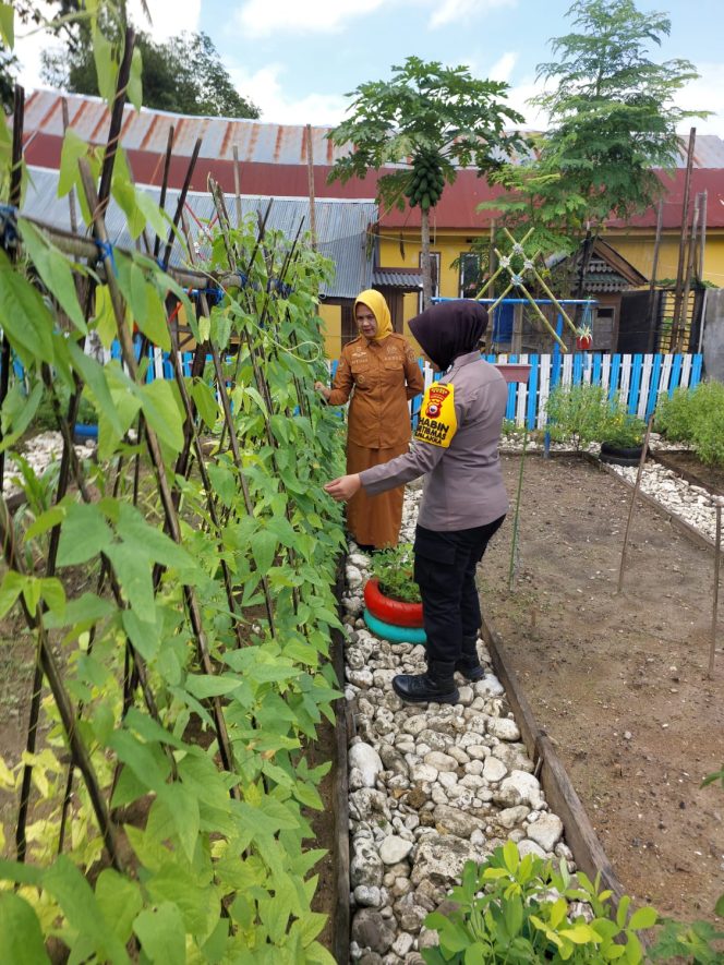 
 ‎Pantau Tanaman Pekarangan Bergizi, Ini yang Dilakukan Bhabinkamtibmas Brigpol Elvira  ‎