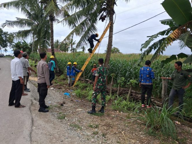 
 Bhabinkamtibmas Hadiri Kegiatan Pemeliharaan Terpadu Tuntas (PTT) di Kecamatan Ajangale