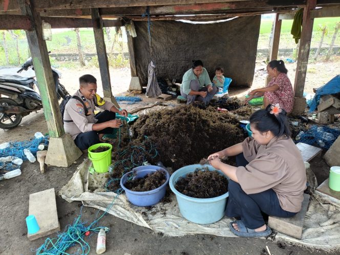 
 Dekat dengan Masyarakat, Aipda Hamdan Pantau Aktivitas Pembudidaya Rumput Laut