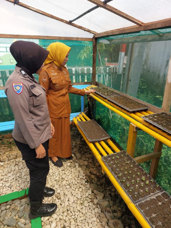 
 ‎Pantau Tanaman Pekarangan Bergizi, Ini yang Dilakukan Bhabinkamtibmas Brigpol Elvira ‎