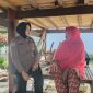 sambang
