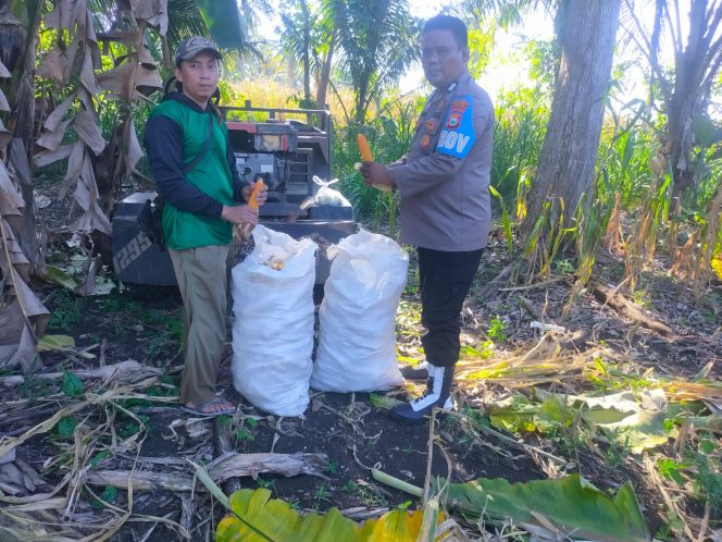 
 ‎Polisi Penggerak Polsek Awangpone Dampingi Penanaman Jagung di Lahan Warga Desa Bulumpare