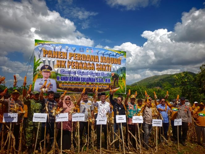 
 Kapolsek Libureng Hadiri Panen Perdana Jagung NK Perkasa Sakti di Desa Ponre-Ponre