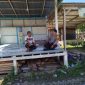 sambang