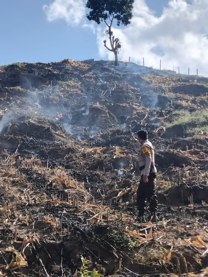 
 Bhabinkamtibmas Polsek Ponre melaksanakan pemantauan terhadap lahan pertanian warga yang sedang terbakar