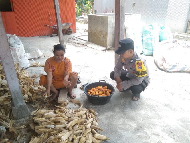
 Sambang Warga, Bhabinkamtibmas Pantau Aktivitas Pengolahan Hasil Panen Jagung