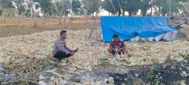
 Kapolsek Ulaweng Imbau Warga Tak Bakar Sisa Jagung, Cegah Karhutla dan Polusi Udara