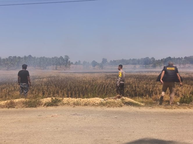
 Api Tak Boleh Lepas Kendali, Bhabinkamtibmas Pantau Persawahan