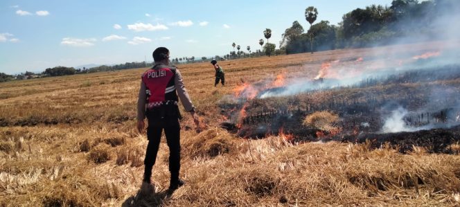 
 Polsek Barebbo Sigap Padamkan Kebakaran Lahan, Persawaha.Milik Warga .