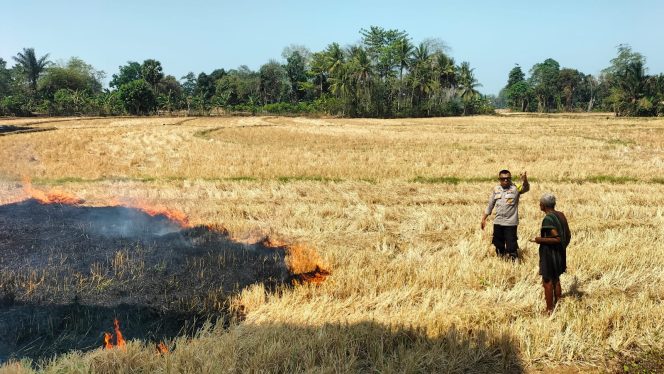 
 Responsif Cegah Kebakaran, Aiptu Ulpiadi Datangi Lokasi Pembakaran Jerami di Bulu Tempe