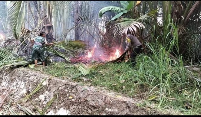 
 Akses Sulit Tak Jadi Penghalang, Bhabinkamtibmas dan Warga Bersama Damkar Jinakkan Api di Pallengoreng