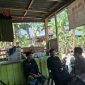 sambang