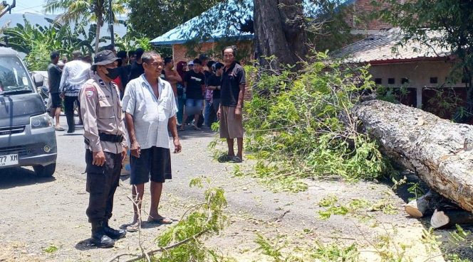 
 Personil Polsek Tellu Siattinge Mengawal Kegiatan Evakuasi Pohon Tumbang di Desa Ajjalireng