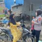 Sambang