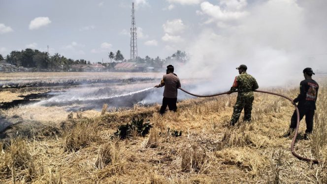 
 Sinergitas Polsek Mare, TNI, dan Masyarakat Bergotong Royong Padamkan Kebakaran Lahan