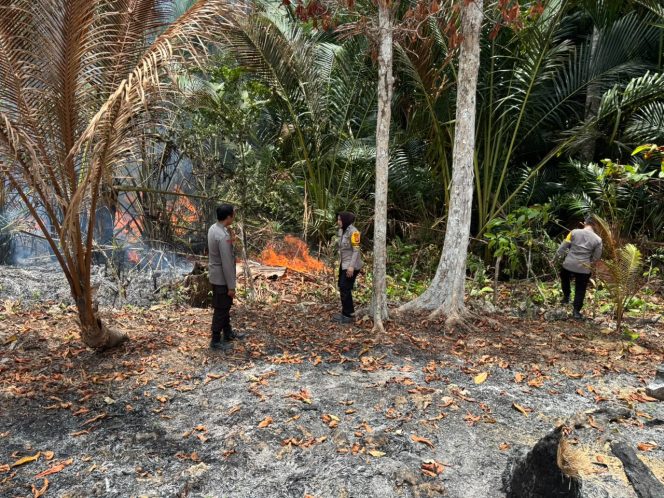 
 Respon Cepat Polsek Barebbo Padamkan Kebakaran Lahan Kebun Rumbia di Desa Wollangi