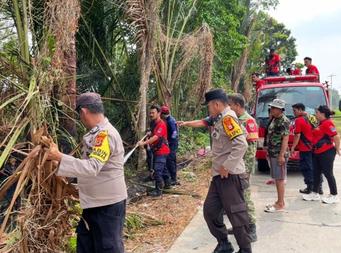 
 Api Merambat di Lahan Rumbia, Polsek Tanete Riattang Bersama Babinsa, Pemadam dan Warga Turun Tangan